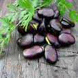Бобы овощные Русские черные Бобы овощные Русские черные