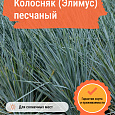 Колосняк (Элимус) песчаный